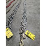 (2) 20' 3/8 Double Hook Chains