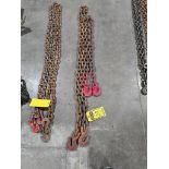 (2) 1/2" Double Hook Chains, 10' & 6'