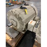 350-HP Electric Motor, 1200 RPM, 2300 V, 3 PH, FR; 686S