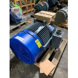 200-HP A/C Motor, 900 RPM, 460 V, 3 Phase, FR: 449T