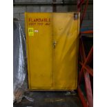 Protectaseal Flammable Storage Cabinet