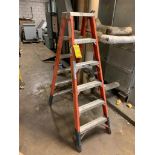 Werner 6' Fiberglass Step Ladder