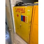 Se-Cur-All 60-Gallon Flammable Storage Cabinet, Model P160