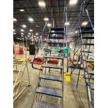 Louisville 10-Step Rolling Safety Ladder ($25 Loading fee will be added to buyers invoice)