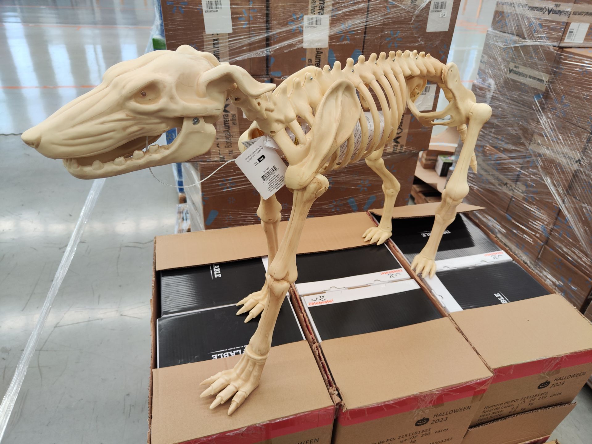 (NUEVO) Lote de 23 piezas de figura decorativa de Esqueleto de perro