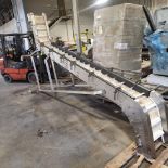 Stainless Steel Incline Conveyor, Used to Feed Bagger Scales | Rig Fee $150