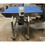 AFE Transfer Conveyor, Construction: Stainless Steel/Food Grade Materials, Drive Mo | Rig Fee $50
