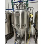 Carolina 3 BBL Fermenting Vessel (FV A)