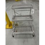Cotterman Easy 45 - 500 LB. Capacity 3-Step Ladder (Approx. 30" From Floor) | Rig Fee $20