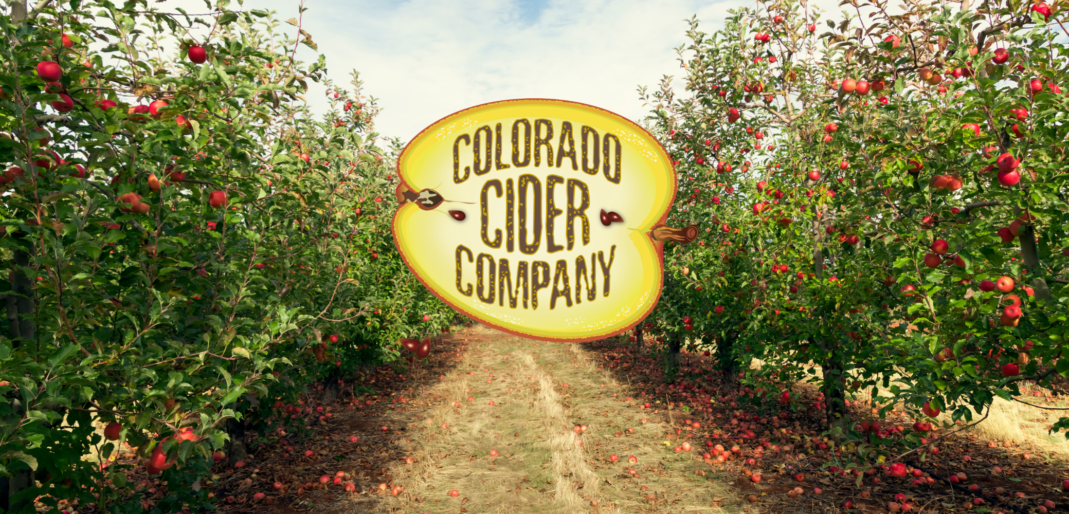 Colorado Cider Company - QTS Fermenters & Brites up to 20 BBL, Wild Goose Canning, SKA Depal, Lanxess Velcorin Doser, Pall Filter, Chiller, More