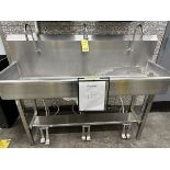 5' x 20" Stainless Steel Sink | Rig Fee $100