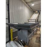 Stainless Steel Hopper (Approx. 11' x 6') with Paddle Conveyor (Approx. | Rig Fee $800
