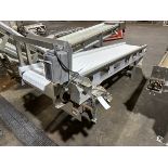 Intralox Conveyor Belt over Stainless Steel Frame (Approx. 2' x 10') | Rig Fee $50