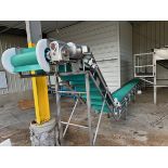 Tri-Berry Incline Paddle Conveyor over Stainless Steel Frame (Approx. 21 | Rig Fee $750