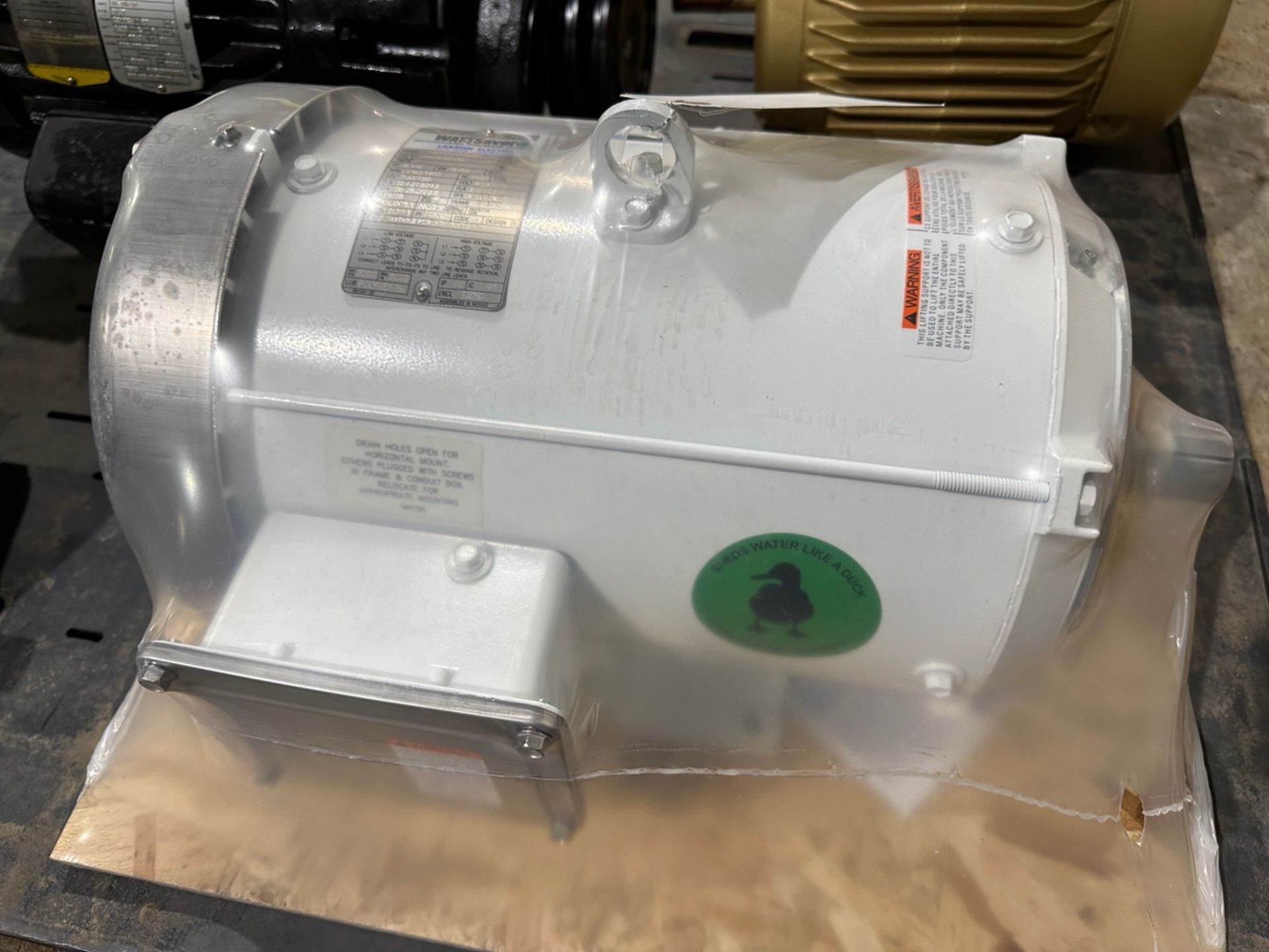 Leeson 7.5 HP Watt Saver Washguard Premium Efficient Motor | Rig Fee $25