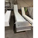 Incline Paddle Conveyor over Stainless Steel Frame (Approx. 18" Wide Bel | Rig Fee $200