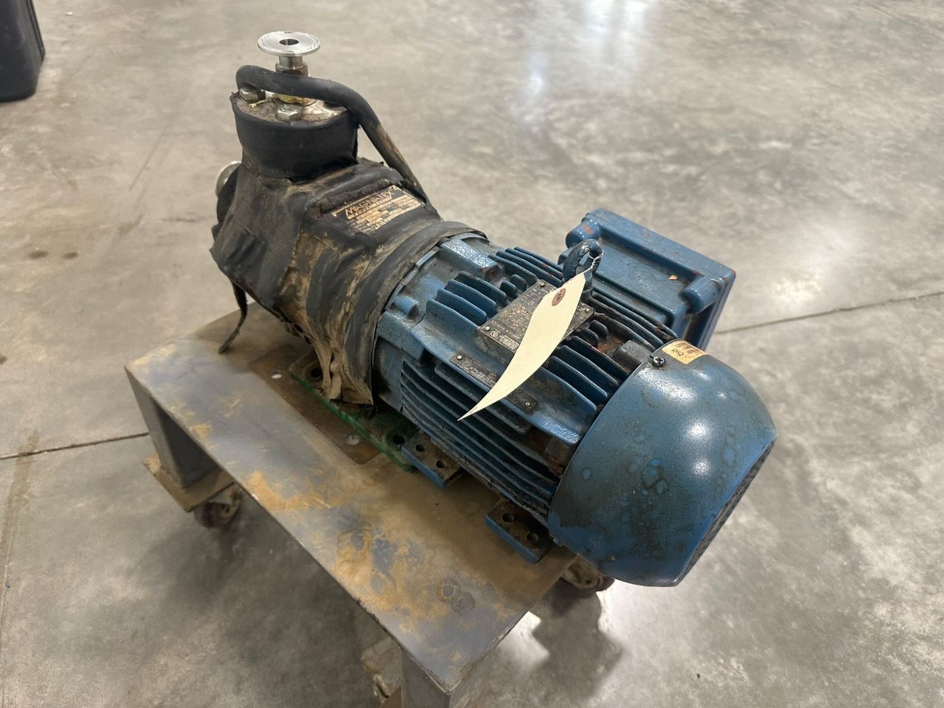 Magnatex, Pumps, Centrifugal Pump, Model MF220-N25N-140TC, 12GPM | Rig Fee $20 - Image 2 of 3