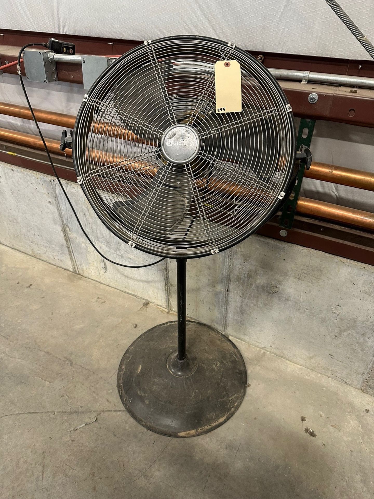 Stand Up Fan | Rig Fee $35