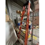 Werner Ladder 10' | Rig Fee $35