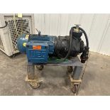 Magnatex, Pumps, Centrifugal Pump, Model MF220-N25N-140TC, 12GPM | Rig Fee $20