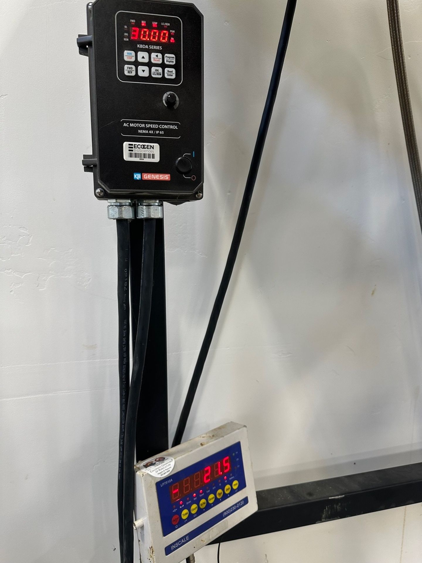 Pallet Scale with Digital Readout | Rig Fee $50
