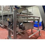 Stainless Steel Vibratory Infeed Conveyor for Line 4 Cooker, Approx 1 - Subj to Bulk | Rig Fee $200