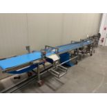 Stainless Steel Frame Conveyor, Approx 22" W Belt x 18ft OAL | Rig Fee $250