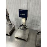 Mettler Toledo SW 300000, 600LB Benchtop Scale, S/N 5326836-5LD