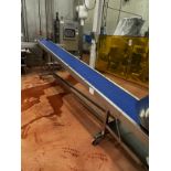 Stainless Steel Frame Incline Conveyor on Casters