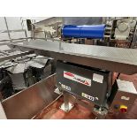 FastBack Dimple Pan Vibratory Conveyor, 17" Width x 84" OA Length | Rig Fee $250