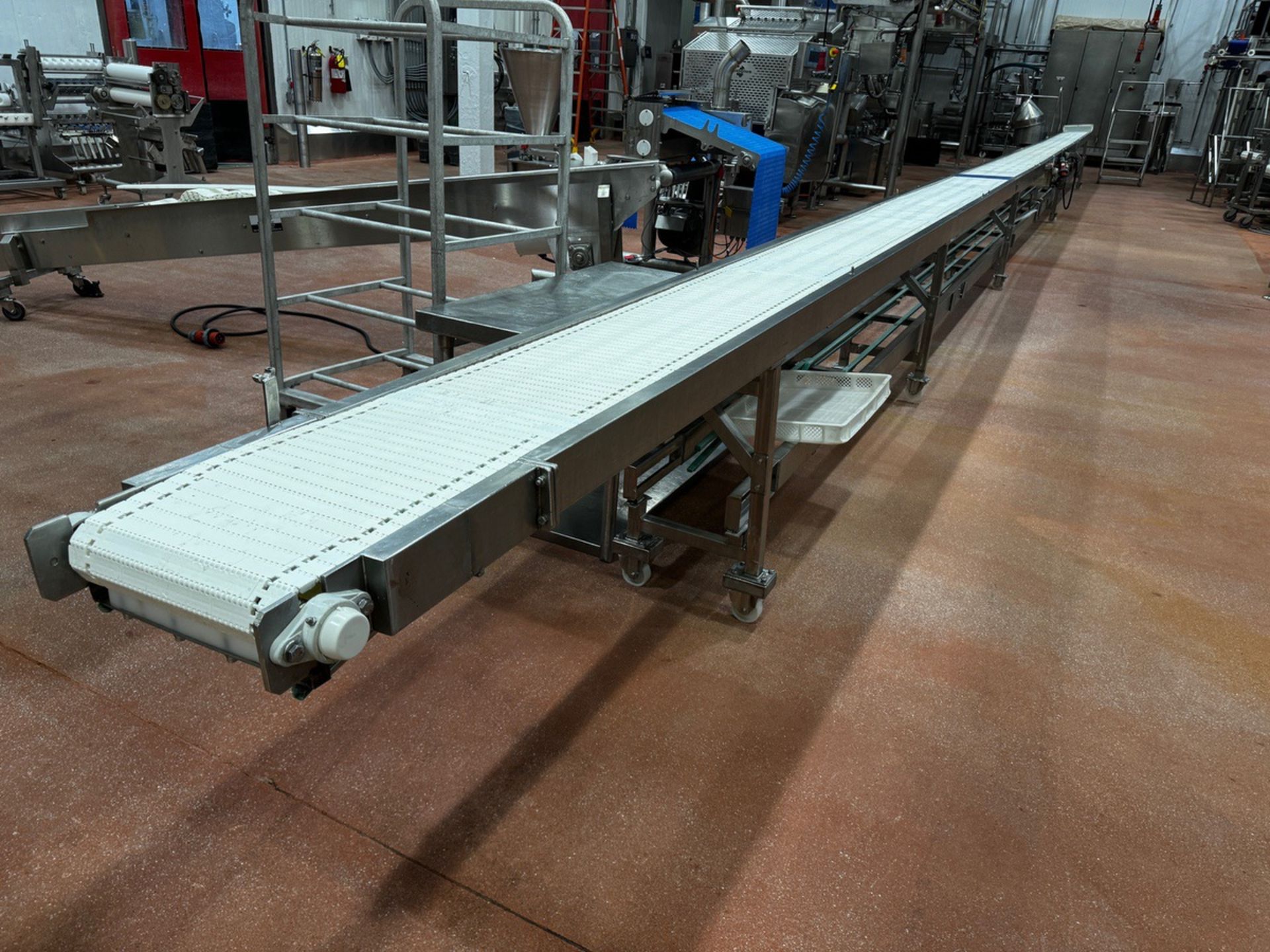 Stainless Steel Frame Conveyor Mounted on Casters, 14"W x 56' OA Length
