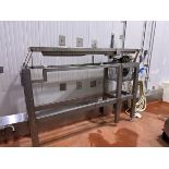 Pasta Technologies DVE 100 Vibratory Conveyor, S/N 096030105