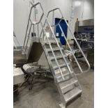 Cotterman Stainless Steel Over Line Ladder, 4'-8" Platform Height