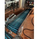 Stainless Steel Frame Conveyor, Incline Takeaway from 2022 Hayssen