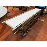 Stainless Stee Frame Conveyor Mounted on Casters, 16" W x 94" OA Length