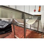 Stainless Steel Frame Incline Conveyor, 24" W x 17' OAL