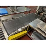 Case Conveyor, 24' W x 82" OAL Belt