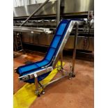 Stainless Steel Frame Incline Flighted Conveyor, 14", 5'-4" Discharge Height, Mounted on Casters