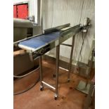 Stainless Steel Conveyor, Slight Incline, 14" W Belt x 6' OAL