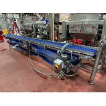 SS Frame Conveyor, 12" W Belt x 17' OAL