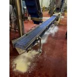 Stainless Steel Frame Conveyor, 25" Belt Height, 12" x 29' OAL