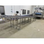 2018 Pavan Stainless Steel Frame Conveyor, Approx 12" Wide Belt x 20 f - Subj to Bulk | Rig Fee $250