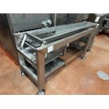 Stainless Steel Vibratory Feed Conveyor for Spiral Freezer, 12" W x 8' OA Length