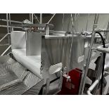 Stainless Steel Frame Bulk Product Conveyor, Approx 27" Belt Width x 76" OAL | Rig Fee $300