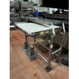 Stainless Steel Frame 42" W x 39" OA Length Cooker Feed Conveyor - Subj to Bulk | Rig Fee $200
