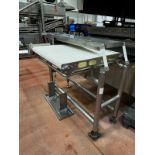 Stainless Steel Frame 42" W x 39" OA Length Cooker Feed Conveyor