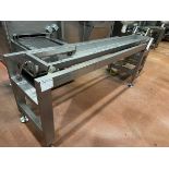 Stainless Steel Vibratory Conveyor, Infeed For Line 1 Spiral, 12" x 8' OA Length