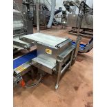 Stainless Steel Frame Scrap Return Conveyor, 22.5" W x 3' OA Length - Subj to Bulk | Rig Fee $175