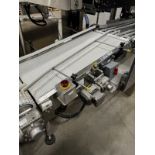 Stainless Steel Incline Conveyor, 22" W x 47" OA Length | Rig Fee $150