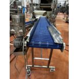 Stainless Steel Frame Slight Incline Conveyor, 14" W x 12' OA Length